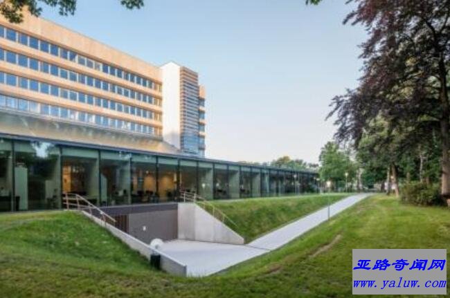 拉德堡德大学
