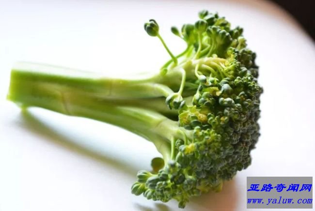 花椰菜芽