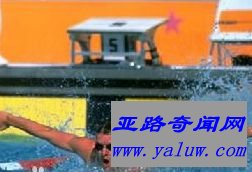 迈克尔·格罗斯 迈克尔·格罗斯