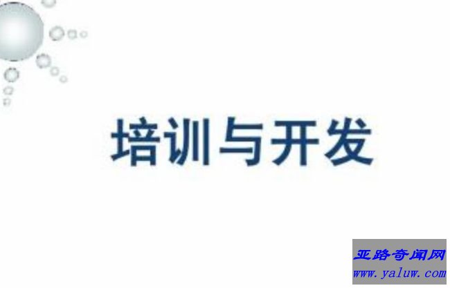 培训与开发