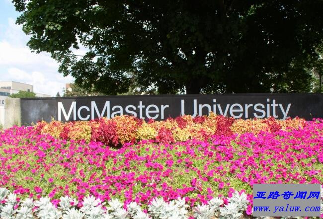 麦克马斯特大学