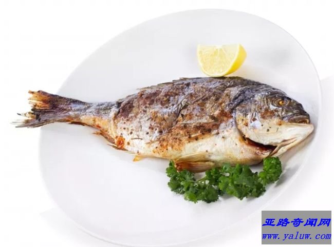 鱼
