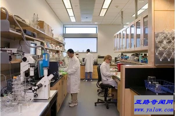 生物医学工程师 - 86000美元 +