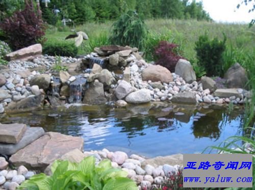 Top Ponds