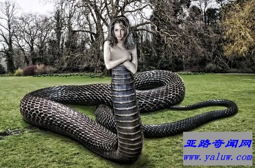 厄喀德那