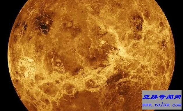 金星