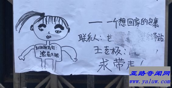 世界上最孤单的包裹 戏精老板碰上孤单小包裹