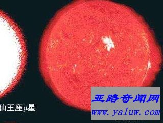 天鹅座KY
