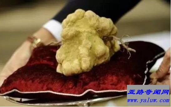 盘点9种全球最贵食物 为土豪而生的“黄金”食物 盘点9种全球最贵食物 为土豪而生的“黄金”食物