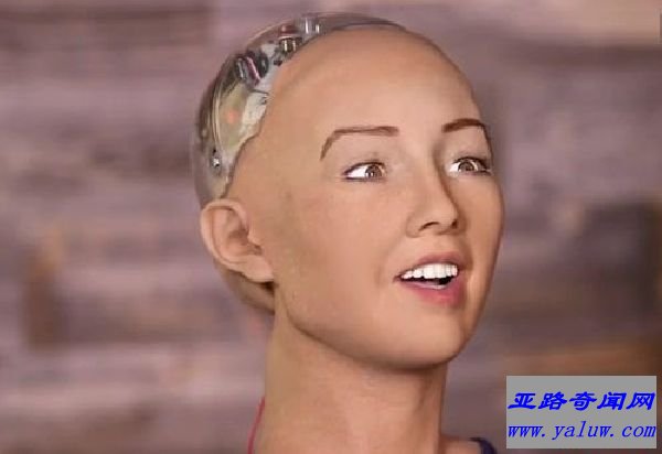 世界上首个拥有国籍的机器人——索菲亚（Sophia）
