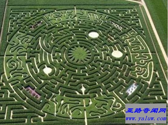 盘点世界最难迷宫,进去便会迷失的巨大迷宫 盘点世界最难迷宫,进去便会迷失的巨大迷宫