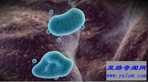 中国科学家最新成果：验汗断病或将取代查血验尿