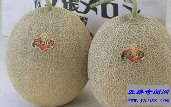 盘点9种全球最贵食物 为土豪而生的“黄金”食物 盘点9种全球最贵食物 为土豪而生的“黄金”食物