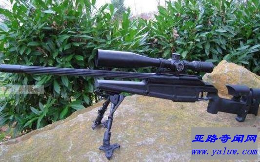 Blaser R93狙击步枪
