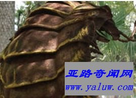 巨型蜈蚣